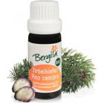Bergila éterický olej Borovice limba BIO 100 ml – Hledejceny.cz