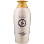 DAENG GI MEO RI Ki Gold Premium Treatment prémiová vlasová péče na jemné vlasy 250 ml – Hledejceny.cz