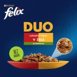 Felix Fantastic DUO hovězí a drůbeží jehněčí a kuře krůta a kachna vepřové a zvěřina 12 x 85 g – Hledejceny.cz
