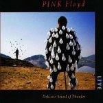 Pink Floyd - DELICATE SOUND OF THUNDER /VINYL`17 LP – Hledejceny.cz