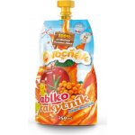 Ovocňák Mošt Jablko rakytník 250 ml – Hledejceny.cz