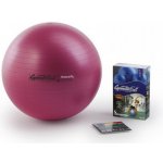 PEZZI GymBall MAX 42 cm – Zboží Mobilmania