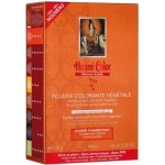 Henné Color Premium Végétal barva měděná 100 g – Zboží Mobilmania