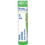 BLATTA ORIENTALIS POR 5CH GRA 1X4G – Hledejceny.cz