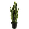 Květina Sansevieria v květináči zlutá/zelená V51 cm