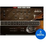 Impact Soundworks Rosette Mandolin (Digitální produkt) – Zboží Živě