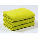 Profod Ručník Viola zelená pistácie 50 x 100 cm – Zboží Dáma