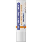 REGINA Jelení lůj Care měsíčkový s jitrocelem zklidňující 4,5 g – Hledejceny.cz