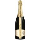 Chandon Brut Argentina 12% 0,75 L holá láhev