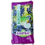 Forestina Substrát Forestina Standard 40 l – Hledejceny.cz