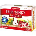 PHX Terezia BrusLinky+bylinky akut 10 kapslí – Hledejceny.cz