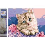 Norimpex Diamantové malování Kočičí oči 30 x 40 cm – Hledejceny.cz