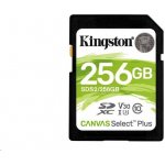 Kingston SDXC UHS-I U1 256 GB SDS2/256GB – Hledejceny.cz