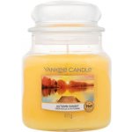 Yankee Candle Autumn Sunset 411 g – Hledejceny.cz