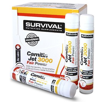 Survival Carnitin JET 3000 fair 500 ml