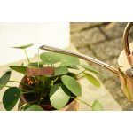 Esschert Design Elegant 1 l zlatá – Hledejceny.cz