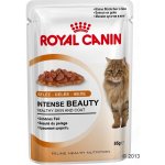 Royal Canin Hair & Skin Care v želé 24 x 85 g – Hledejceny.cz