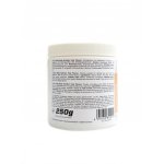 Best Body Nutrition Holy flavour powder dochucovací prášek čokoládová sušenka 250 g – Zboží Dáma