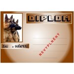 VIZINGR Ovčáci diplom A4 č.6 Psi č.6 BEZ TEXTU – Zbozi.Blesk.cz