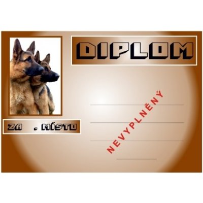 VIZINGR Ovčáci diplom A4 č.6 Psi č.6 BEZ TEXTU – Zbozi.Blesk.cz