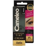 Delia Cosmetics Cameleo krémová profesionální barva na obočí 1.0 Black 15 ml – Zboží Dáma