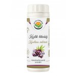 Salvia Paradise Kozlík lékařský standardizovaný extrakt 60 kapslí – Hledejceny.cz