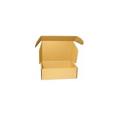 Krabice na tiskoviny A4 305 x 215 x 100 mm – Sleviste.cz