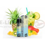 Infamous Liqonic Tropical Lemonade 10 ml – Zbozi.Blesk.cz