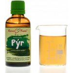 Bylinné kapky PÝR PLAZIVÝ KAPKY tinktura 50 ml – Hledejceny.cz
