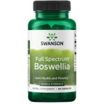 Swanson Boswellia Double Strenght 800 mg 60 kapslí – Hledejceny.cz