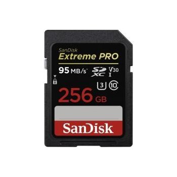 SanDisk SDXC 256 GB UHS-I U1 139751