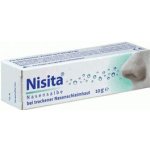 Nisita nosní sprej 20 ml – Sleviste.cz