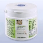 MRL Coriolus MRL biomasa 250 g – Hledejceny.cz