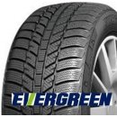 Evergreen EW62 195/60 R14 86T