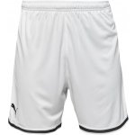 Puma HOOPS TEAM GAME SHORT – Hledejceny.cz