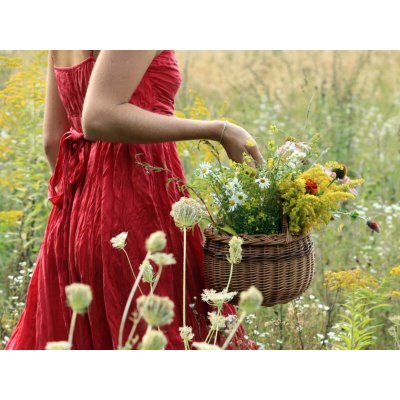 Procházka za bylinkami s ochutnávkou nebo výrobou bylinného oleje – Zboží Dáma