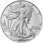 US Mint Stříbrná mince American Silver Eagle 2011 1 oz – Zboží Dáma