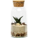Gardners Skleněná dóza Syringa s korkovým špuntem, 18x9,5 cm - osázené suchomilně – Hledejceny.cz