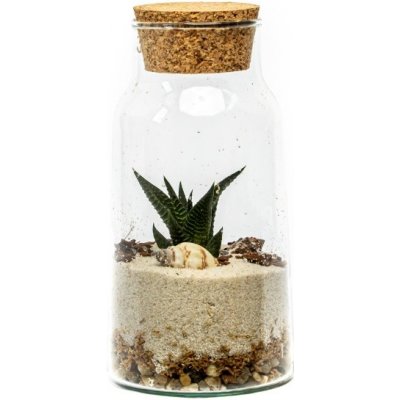 Gardners Skleněná dóza Syringa s korkovým špuntem, 18x9,5 cm - osázené suchomilně – Hledejceny.cz
