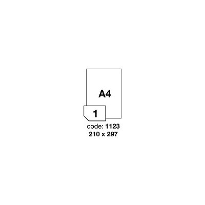 Rayfilm R0360.1123G A4 10 etiket