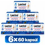 Lyprinol při zánětech kloubů a dejch.cest 6 x 60 kapslí – Hledejceny.cz