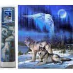 Norimpex Diamantové malování Divoký úplněk 30 x 40 cm – Sleviste.cz