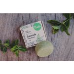 Kvítok tuhý šampon na mastné vlasy čajovník 25 g – Zboží Dáma