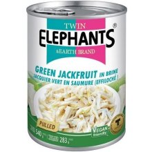 TWIN ELEPHANT EARTH Zelený jackfruit chlebovník 540 g