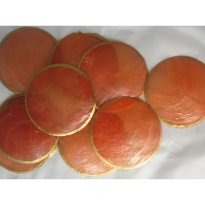 Dijk Natural Collection Mušle Capiz shell korálová gold 10 ks – Sleviste.cz