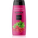 Gabriella Salvete Shower Gel Raspberry sprchový gel 250 ml