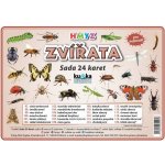 Zvířata hmyz - Sada 24 karet - Kupka a kolektiv Petr – Hledejceny.cz