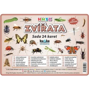 Sada 24 karet - zvířata hmyz A4 30x21 cm