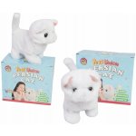 ISO koťátko – Sleviste.cz