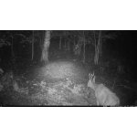 OXE Viper – Zboží Živě